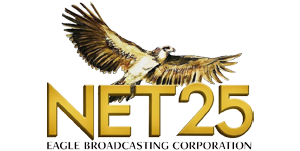 newnet25logo